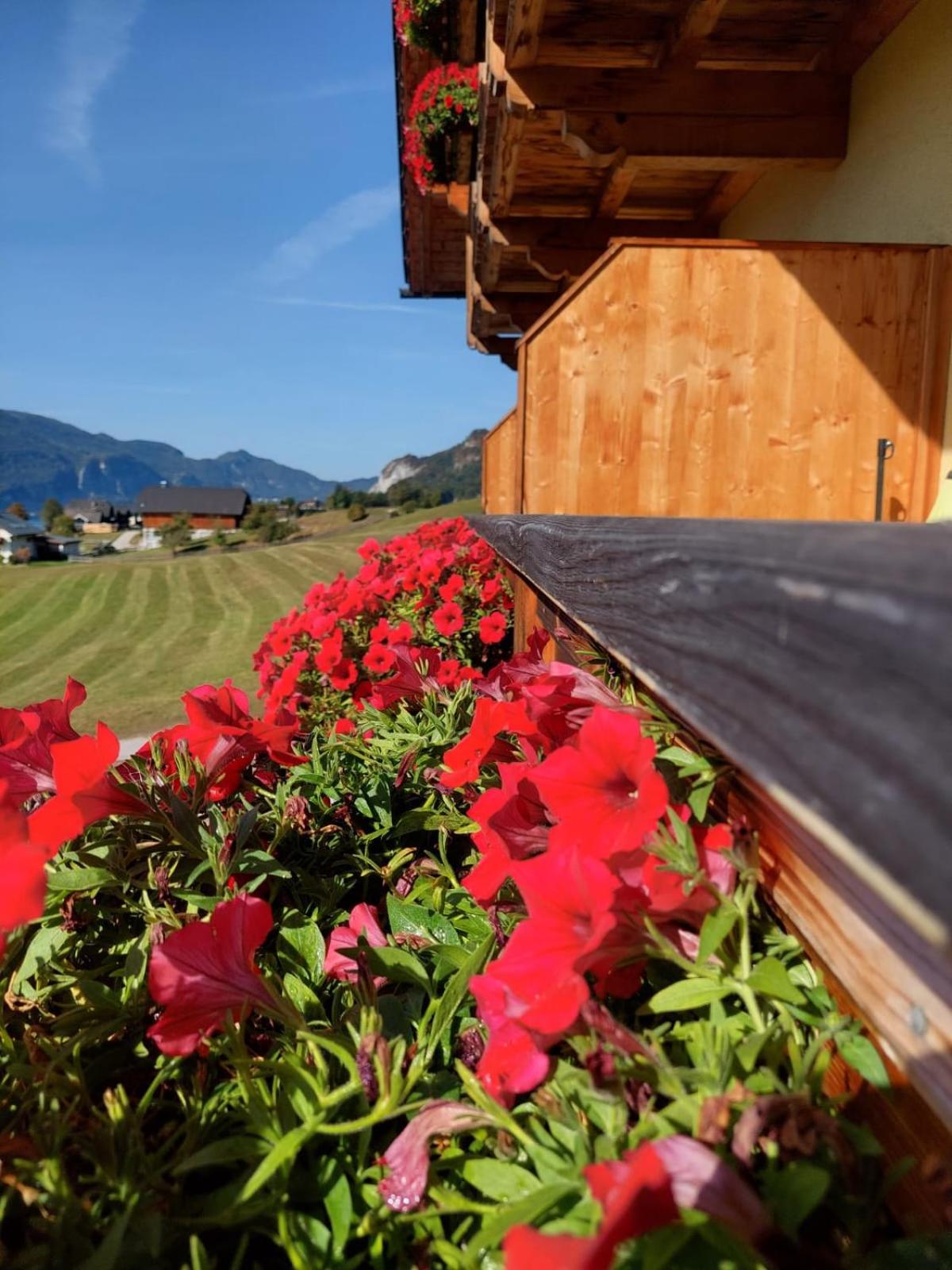 Haus Hoedlmoser Sankt Wolfgang im Salzkammergut Ngoại thất bức ảnh